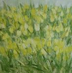 Žluté tulipány /  Yellow Tulips