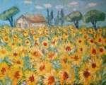 Pole slunečnic v již. Francii / A Field of Sunflowers in Southern France