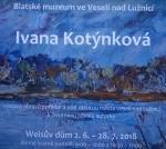 Výstava obrazů ve Veselí nad Lužnicí 2.6. - 28.7.2018